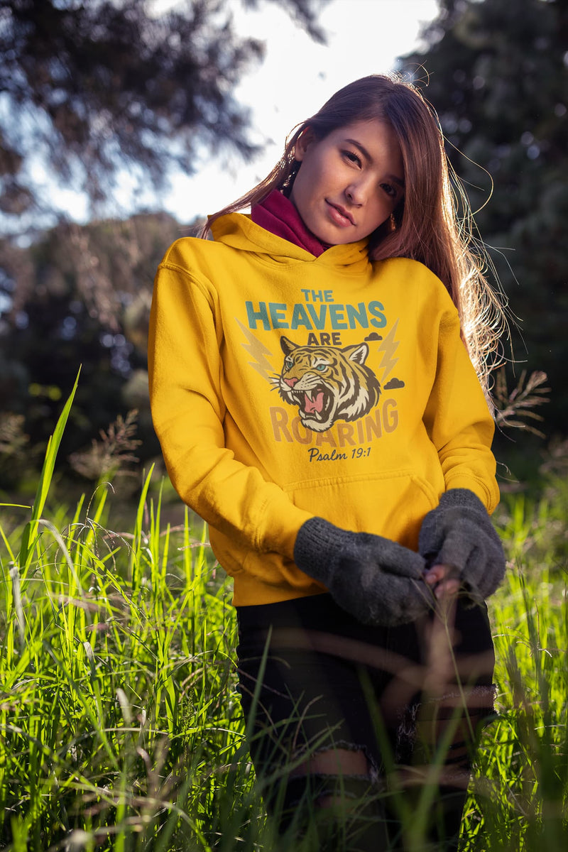 SKYWARD REGARD Hoodie
